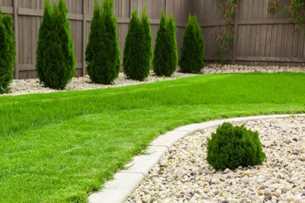Professional Landscaper Professional Landscaper
