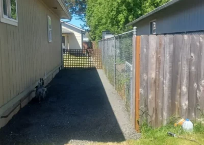 Blackberries Removal After