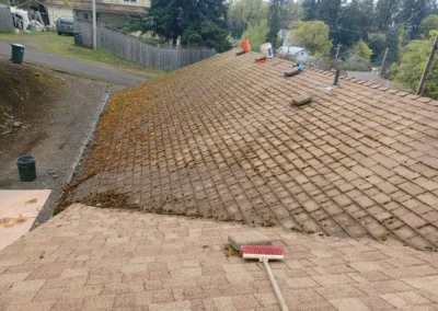 Moss Removal After