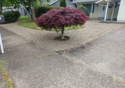 Rock Installation After