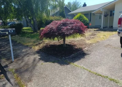 Rock Installation Before